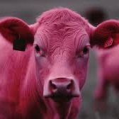 Jay Papasan and Gary Keller